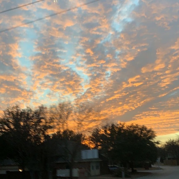 Meet your Posher, Grace - Picture 1 of 1